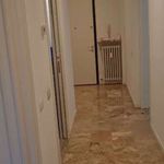 Affitto 3 camera appartamento di 100 m² in Cremona