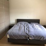 Rent 3 bedroom apartment in Brasschaat