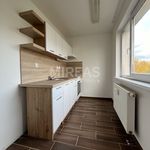 Rent 1 bedroom apartment of 835 m² in Milovice