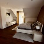 Pronajměte si 1 ložnic/e byt o rozloze 351 m² v Karlova Ves