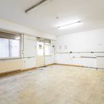 Rent 1 bedroom apartment of 102 m² in Deurne