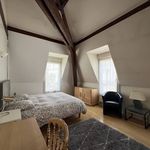 Rent 3 bedroom house of 85 m² in Paris