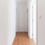 Rent 2 bedroom apartment of 60 m² in Massamá