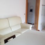 Affitto 4 camera appartamento di 74 m² in Lugo