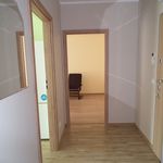 Rent 2 bedroom apartment of 51 m² in Poznan