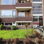 Rent 2 bedroom apartment of 80 m² in Groningen