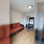  appartement avec 1 chambre(s) en location à VILLEURBANNE
