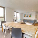 Rent 1 bedroom apartment of 22 m² in Leuven