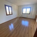 Rent 8 bedroom house of 450 m² in Adana