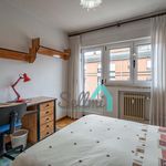 Rent 3 bedroom apartment of 100 m² in Oviedo