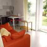 Affitto 1 camera appartamento di 40 m² in Pinerolo