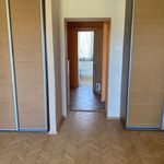 Rent 1 bedroom apartment of 39 m² in Łódź