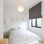 Rent 1 bedroom apartment of 45 m² in Vorst