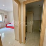 Rent 2 bedroom apartment of 120 m² in Anzio