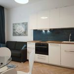 Rent 1 bedroom apartment of 33 m² in Prague
