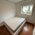 Rent 1 bedroom apartment of 55 m² in Bergen