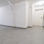 Rent 2 bedroom apartment of 42 m² in Beinheim