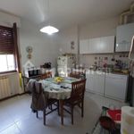 Affitto 5 camera appartamento di 115 m² in Siena
