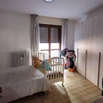 Rent 3 bedroom apartment of 89 m² in Novara