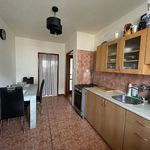 Rent 1 bedroom apartment of 65 m² in Meziboří