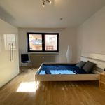 Rent 2 bedroom apartment of 45 m² in Mannheim