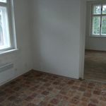 Rent 1 bedroom apartment of 25 m² in Liberec