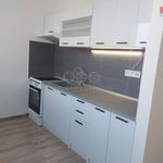 Rent 2 bedroom apartment of 63 m² in Chomutov