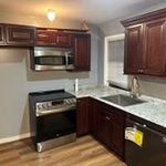 First Floor 1 Bedroom Living Kitchen And Full Bath Including Utilities