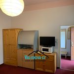 Rent 1 bedroom apartment of 29 m² in Kroměříž