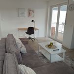 Rent 2 bedroom apartment of 69 m² in Arnsberg