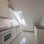 Rent 4 bedroom apartment of 161 m² in Katzelsdorf