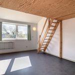 Huur 4 slaapkamer huis van 200 m² in Hoeilaart