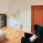 Room for rent in 13-bedroom apartment in Dailly, Brussels