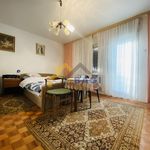 Rent 5 bedroom house of 150 m² in Pogančec