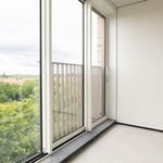 Huur 2 slaapkamer appartement van 100 m² in Leiden