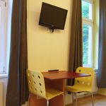 Rent 1 bedroom apartment of 31 m² in Wien
