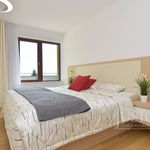 Rent 3 bedroom apartment of 147 m² in Písek