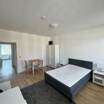 Rent 1 bedroom apartment of 16 m² in Schkeuditz