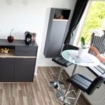 Rent 1 bedroom apartment of 30 m² in Braunschweig