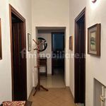 Rent 4 bedroom apartment of 100 m² in Frosinone