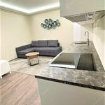 Rent 2 bedroom apartment of 40 m² in Budapest