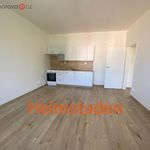Rent 2 bedroom apartment of 44 m² in Ostrava