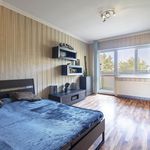 Rent 2 bedroom apartment of 110 m² in Prague