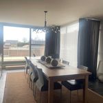 Rent 2 bedroom apartment in Westmalle