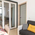 Rent 2 bedroom apartment of 65 m² in Ciampino