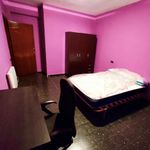 Rent 5 bedroom apartment in Castelló de la Plana