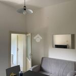 Affitto 2 camera appartamento di 16 m² in Gualdo Cattaneo
