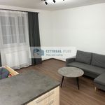 Pronajměte si 1 ložnic/e byt o rozloze 33 m² v Dolní Olešnice