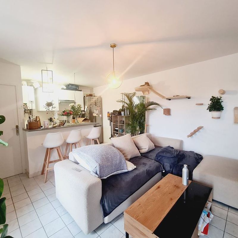 Appartement MOUGINS 850€ | Agence immobiliere FLASH IMMO , l'immobilier a LE CANNET
