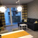 Rent 2 bedroom apartment of 48 m² in Łódź